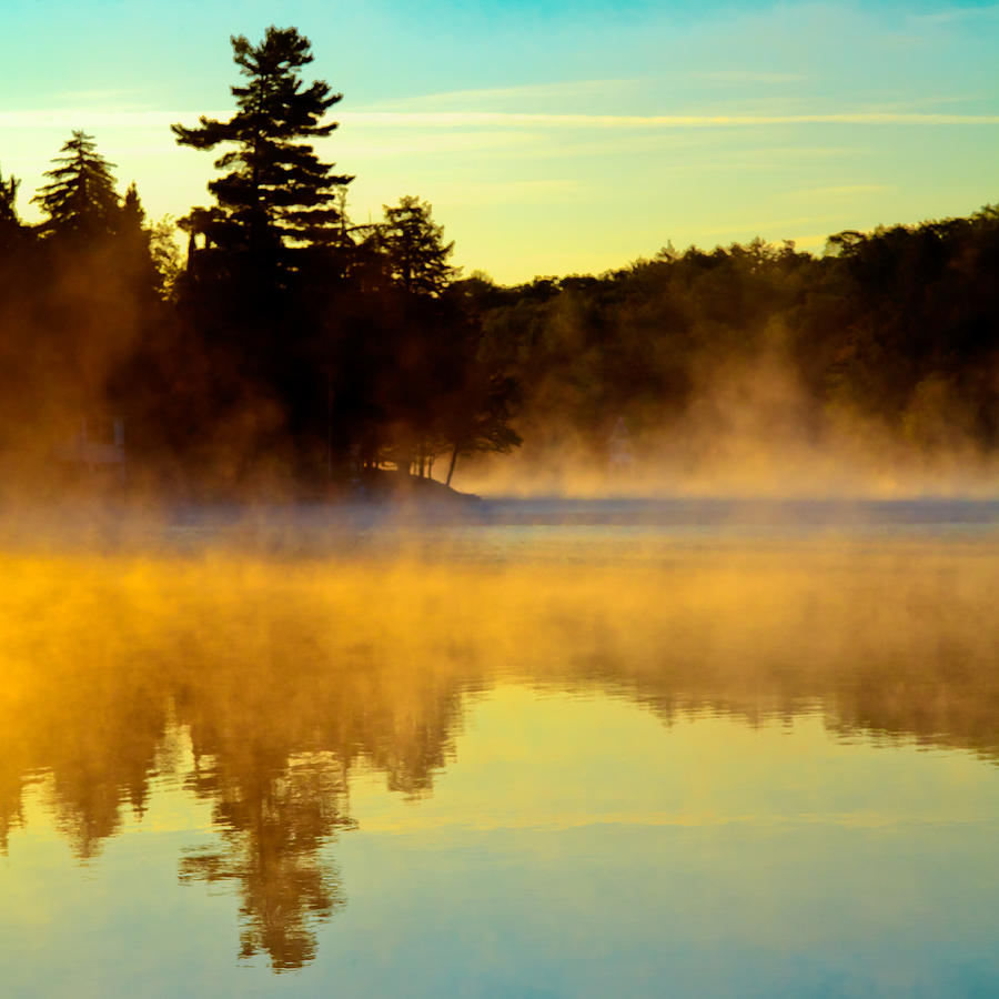 A Misty Sunrise on the Pond Photograph by David Patterson