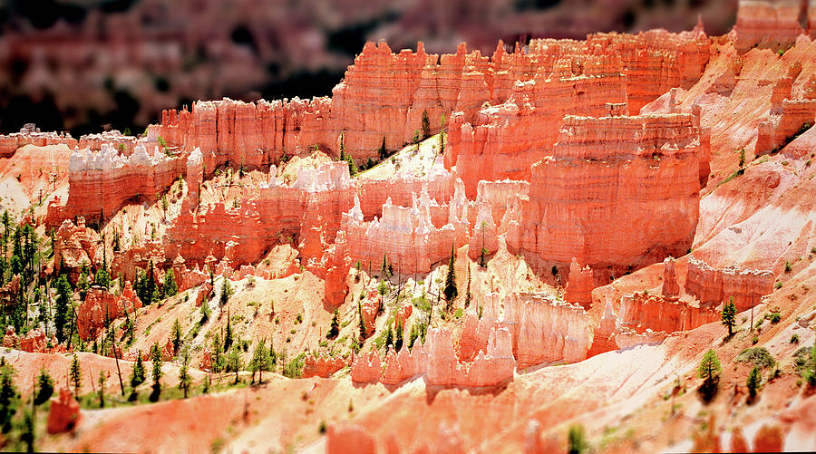 A Model Canyon Photograph by Nigel Fletcher-Jones