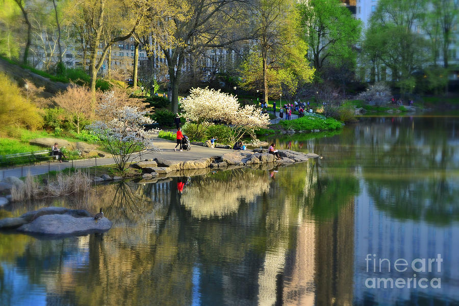 A Moment Alone - Central Park in Spring 2 Photograph by Miriam Danar