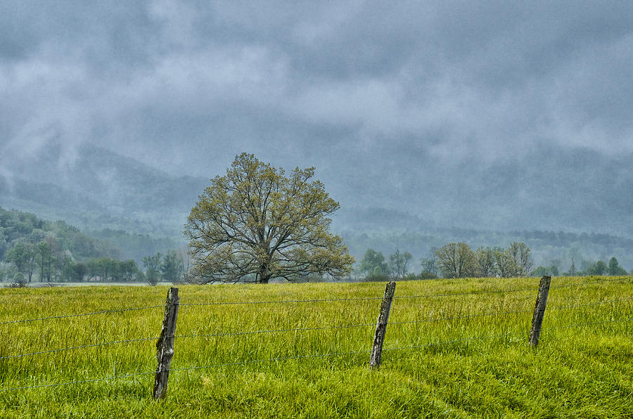A Moment in Cades Cove Photograph by Blaine Owens