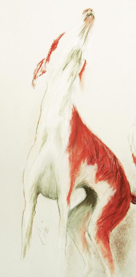 Dog Drawing - A Moment In Time by Cori Solomon