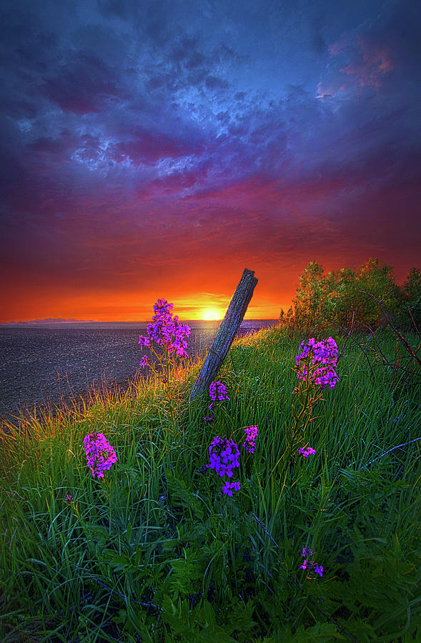 A Moments Notice Photograph by Phil Koch