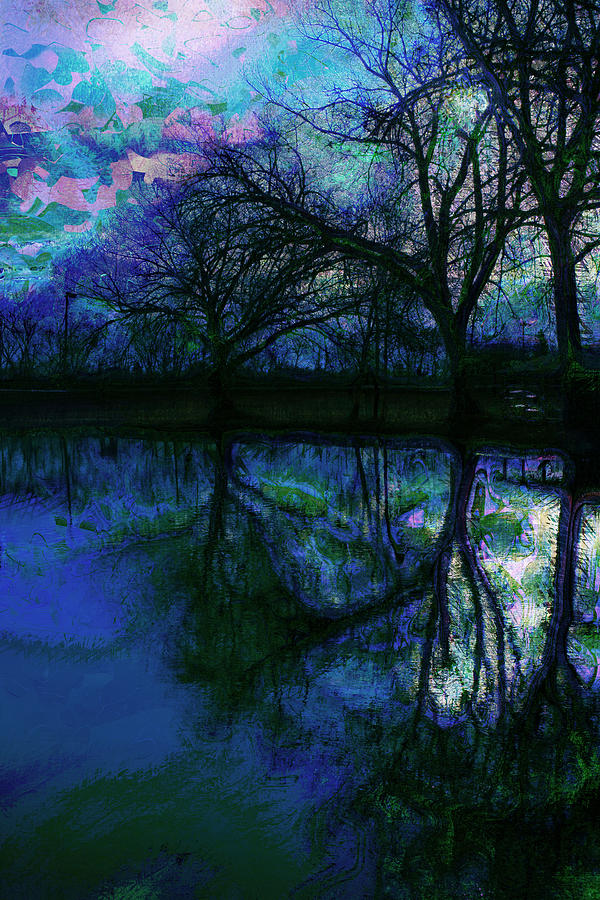 A Monet Kinda Day Photograph by Julie Lueders 