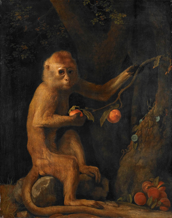 A Monkey Painting by George Stubbs