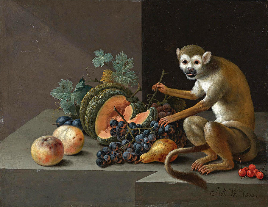 A monkey perched on a stone ledge with grapes a melon cherries a pear and other fruit  Painting by Johann Amandus Wink