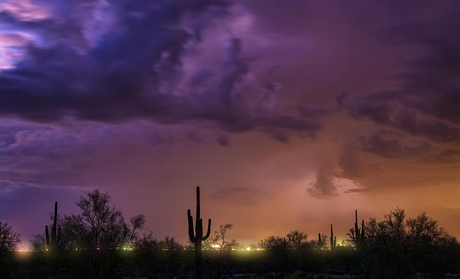 A Monsoon Desert Night Photograph by Saija Lehtonen
