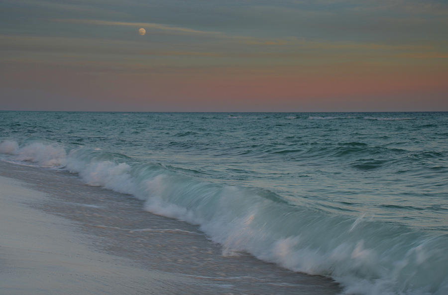 A Moonlit Evening on the Beach Photograph by Renee Hardison