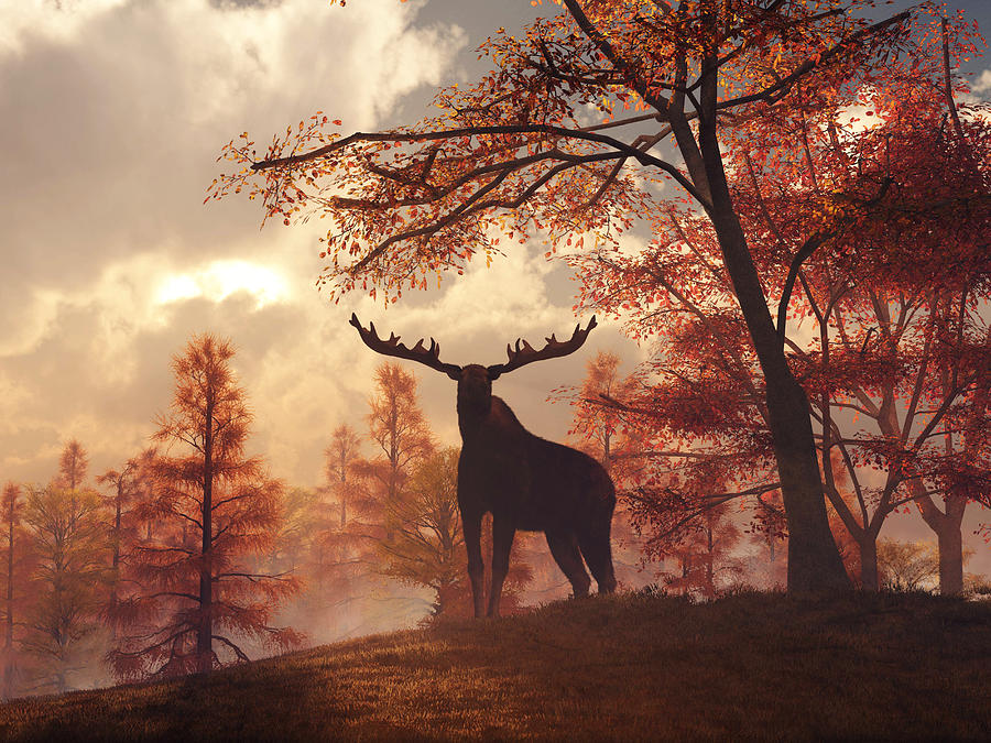 A Moose in Fall Digital Art by Daniel Eskridge