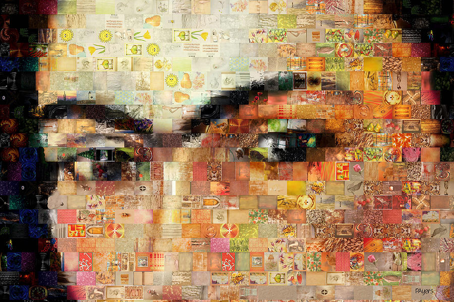 A Mosaic of Life Thru Her Eyes Photograph by Paula Ayers