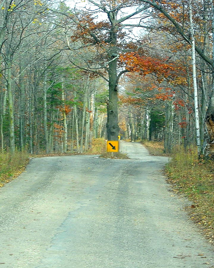 A most Valuable tree Photograph by Arvin Miner Fine Art America