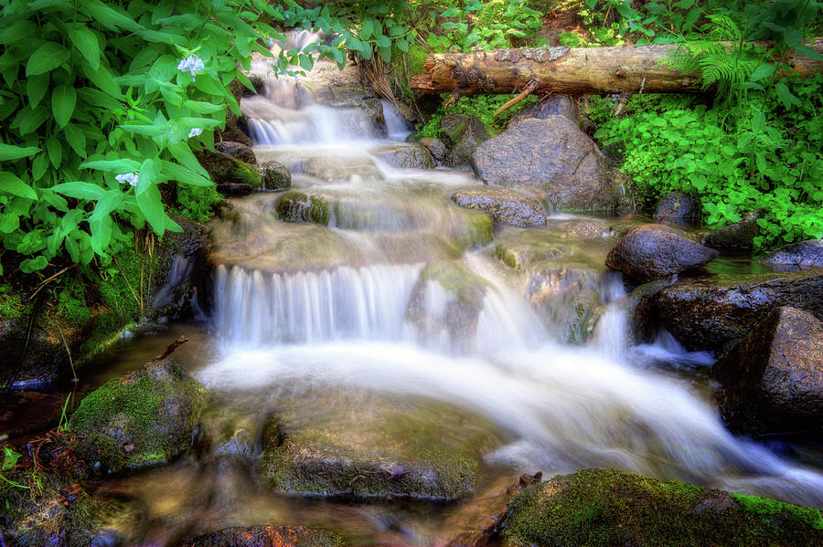 A mountain stream pleases me more than the sea Photograph by Douglas Pulsipher