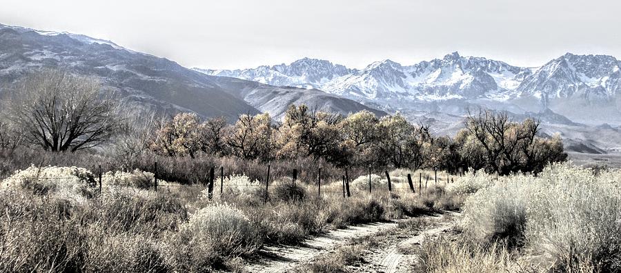 A Muted Sierra Photograph by Marilyn Diaz