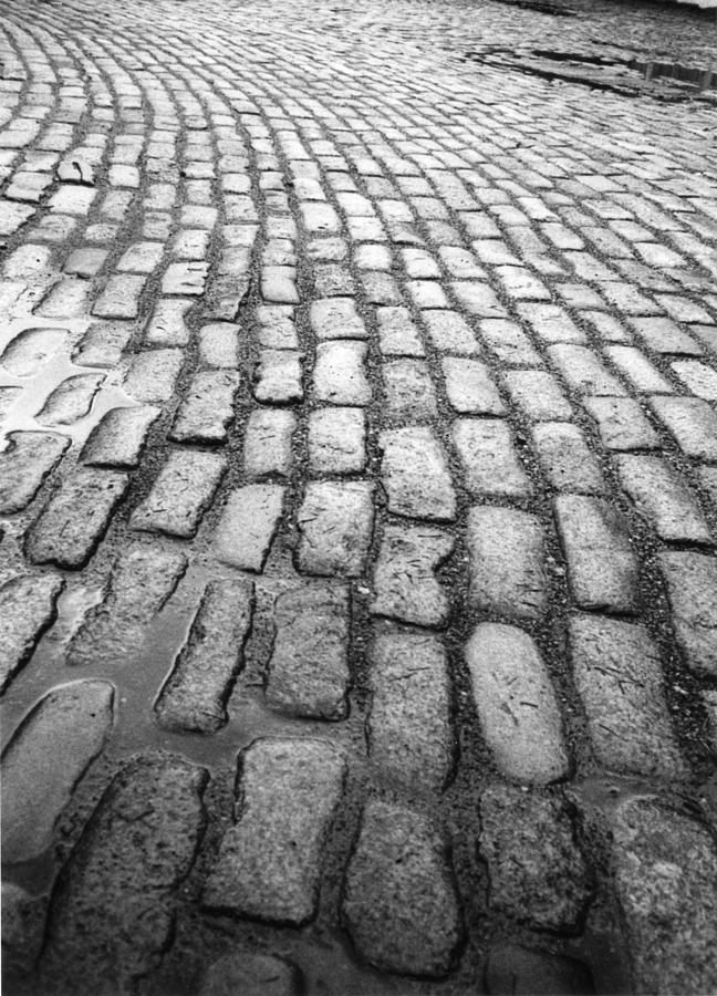 A Mystic Way Photograph by Bob Riggs - Fine Art America