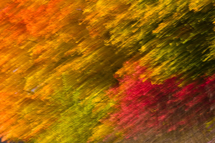 Abstract Photograph - A Natural Fall Abstract by Levin Rodriguez