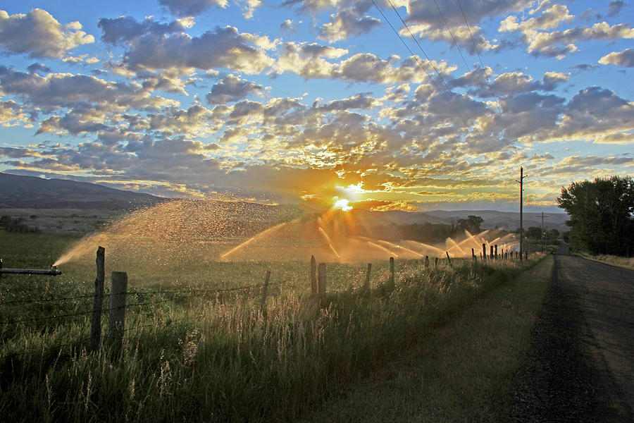 A New Dawn in the Ruby Valley Photograph by Jennie Marie Schell