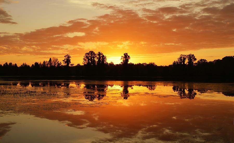 A New Day A'rising - sunrise Photograph by Roy Erickson - Fine Art America