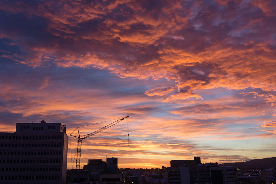 Crane Photograph - A New Day for Christchurch by Ian Riddler