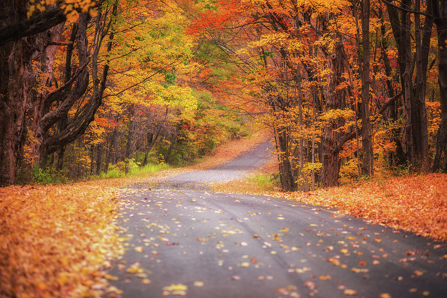 A New England Country Road Photograph by Kim Carpentier