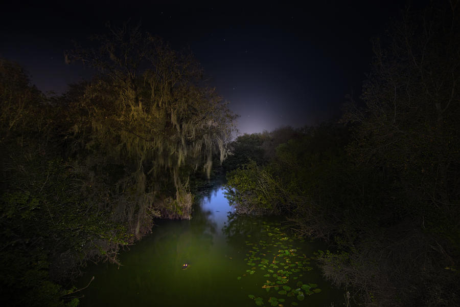 A Night at Alligator Creek Photograph by Mark Andrew Thomas
