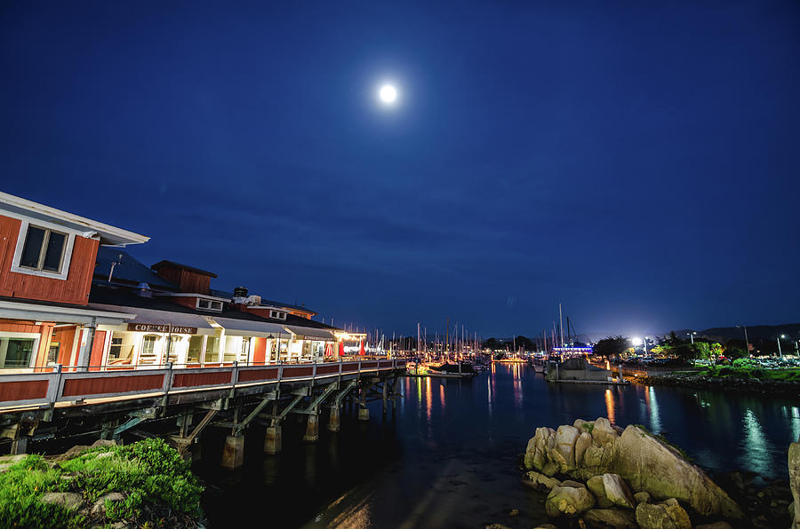 A Night in Monterey Photograph by Margaret Pitcher