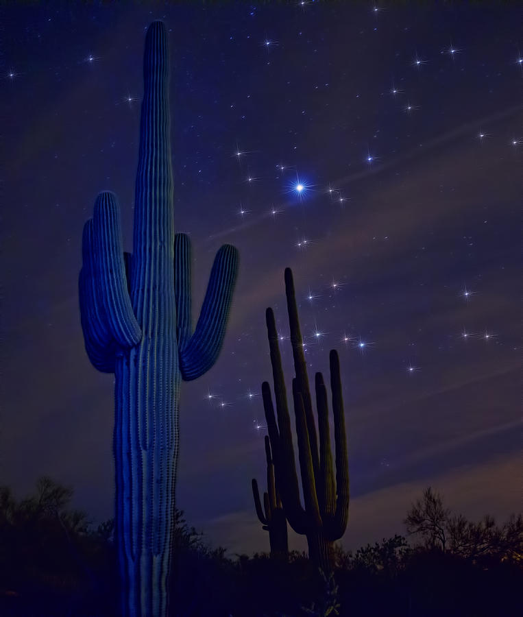A Night Under The Desert Skies  Photograph by Saija Lehtonen