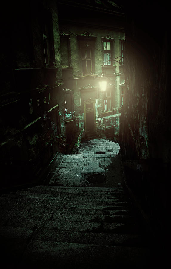 A night walk Photograph by Jaroslaw Blaminsky