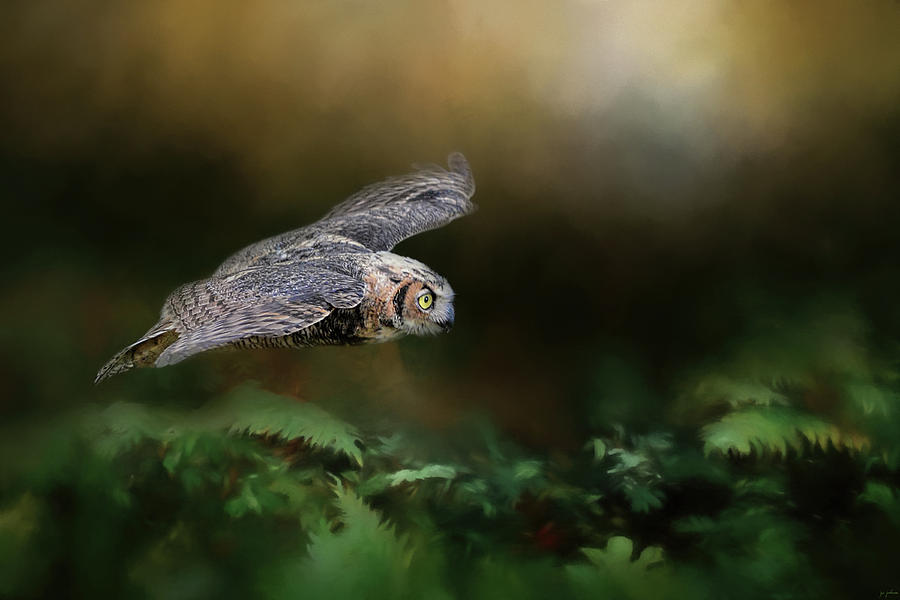 Bird Photograph - A Night With The Great Horned Owl 1 by Jai Johnson by Jai Johnson