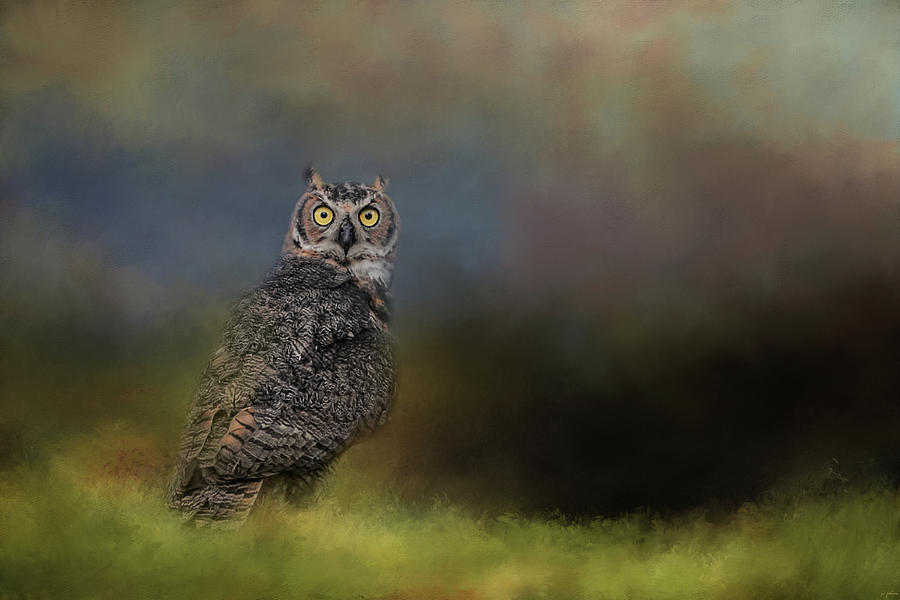 A Night With The Great Horned Owl 4 by Jai Johnson Photograph by Jai Johnson