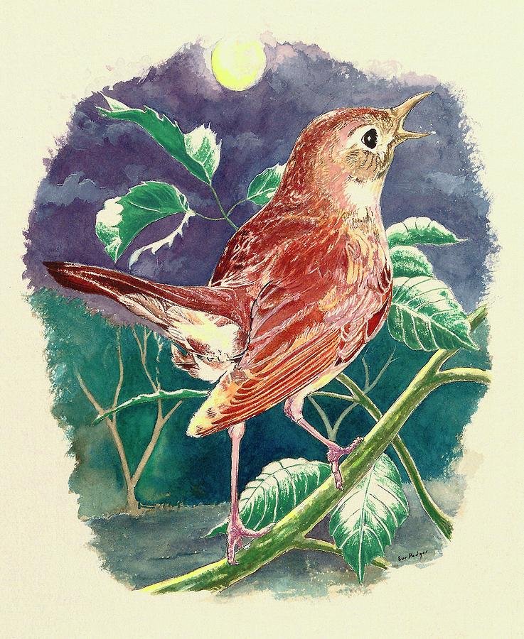 A nightingale singing in the dark of night  Painting by Sue Podger