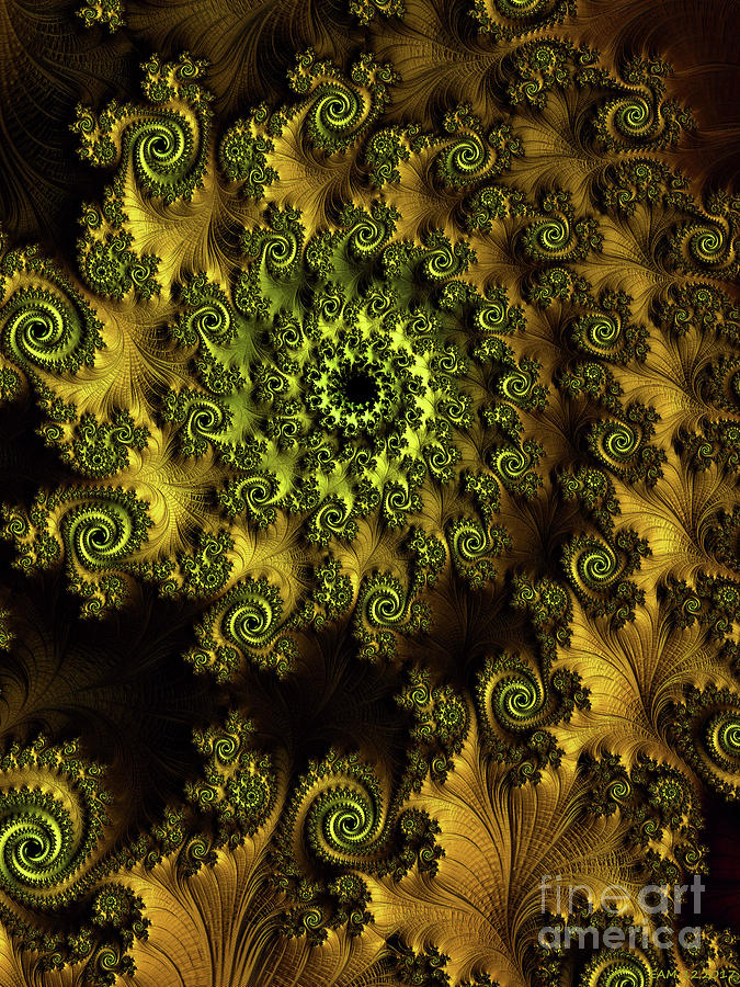 A Nine of Roses / Gold Digital Art by Elizabeth McTaggart