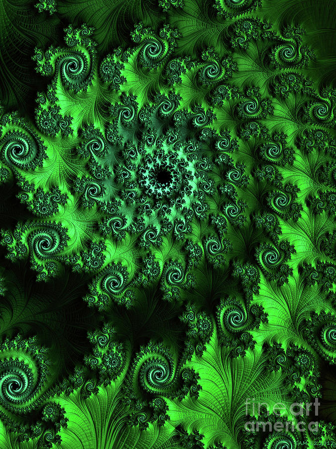 A Nine of Roses / Green Digital Art by Elizabeth McTaggart