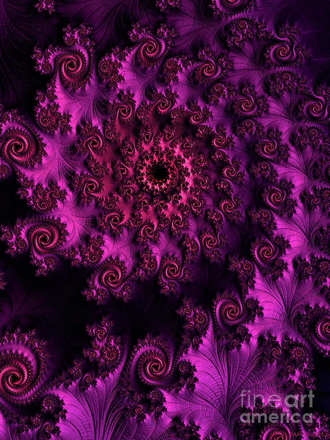 A Nine of Roses / Magenta Glow Digital Art by Elizabeth McTaggart