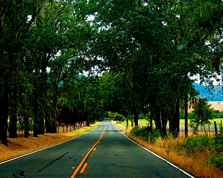 Napa Valley Digital Art - A Nor Cal Country Road by Joseph Coulombe
