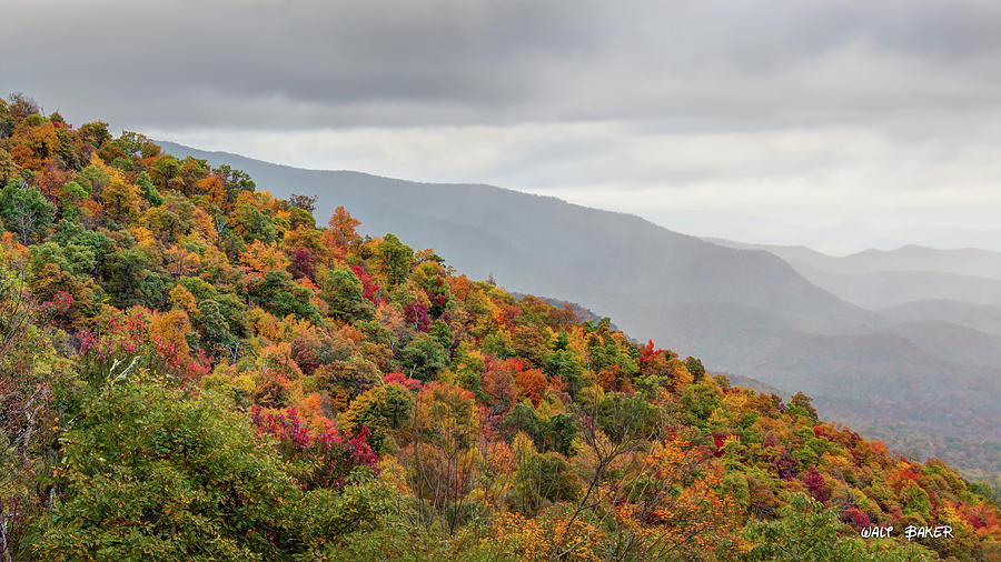 A North Carolina Autumn Photograph by Walt Baker