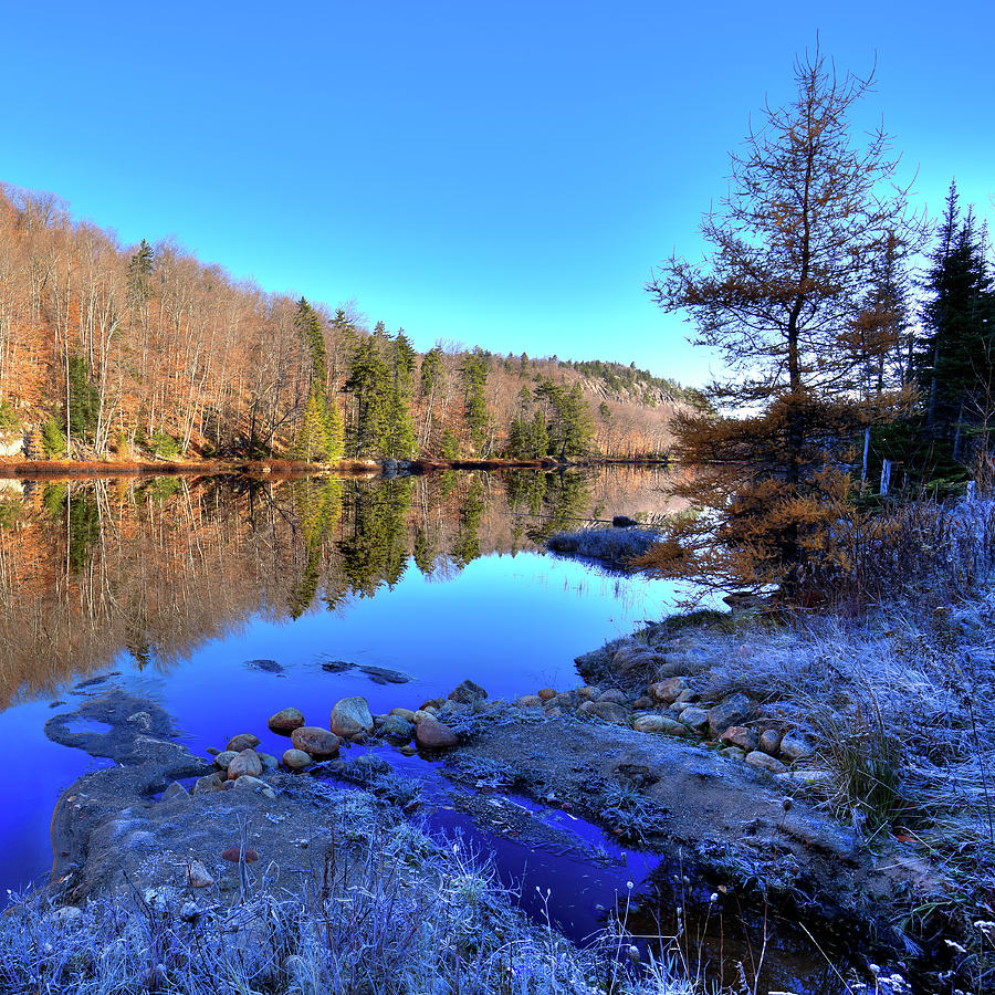 A November Morning on the Pond Photograph by David Patterson