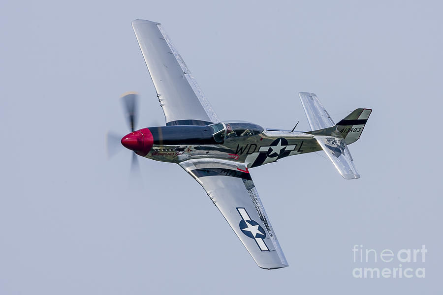 A P-51 Mustang Flies By At Cleveland Photograph