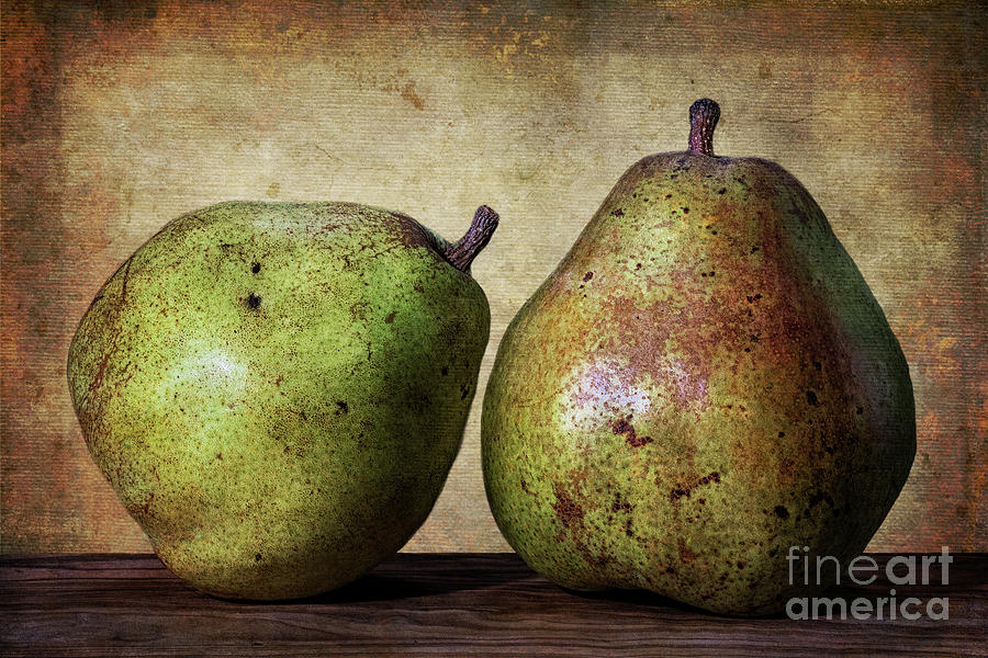 A Pair Of Comice Pears Photograph