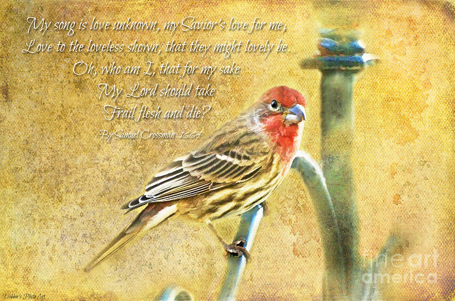A Pair of Housefinches with Verse part 2 - Digital Paint Photograph by Debbie Portwood