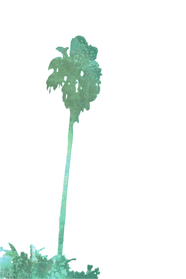 Graphic Design Digital Art - A Palm Tree by Poster Book Graphic Design Digital Art - A Palm Tree by Poster Book