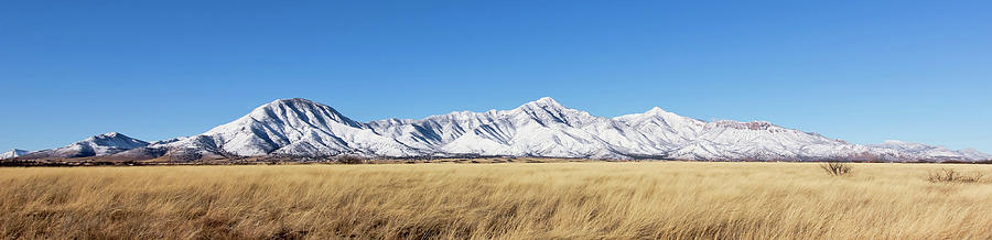 A Panorama Of The Snowy Huachuca Mountains Photograph