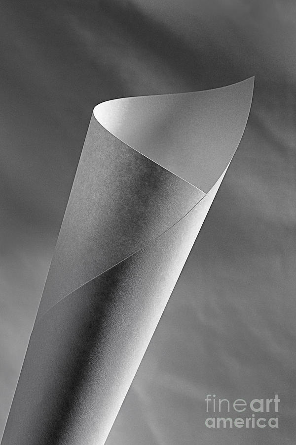 A Paper in Spiral Photograph by Ken DePue