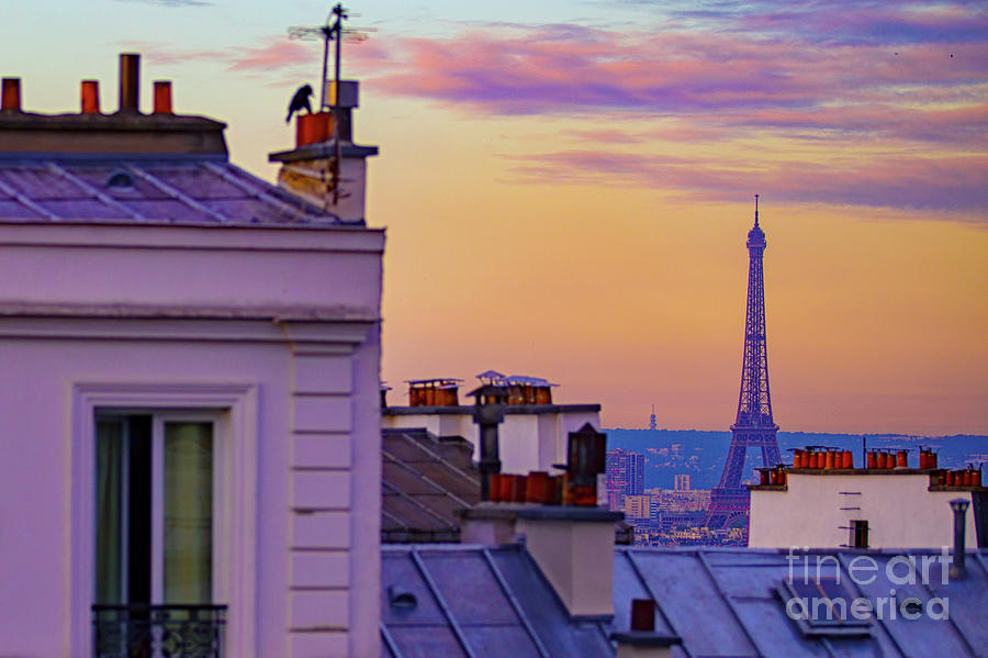 A Paris Morning Photograph