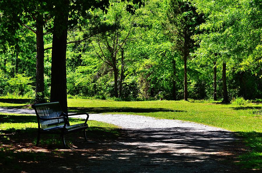 A Park Resting Place Photograph by Eileen Brymer
