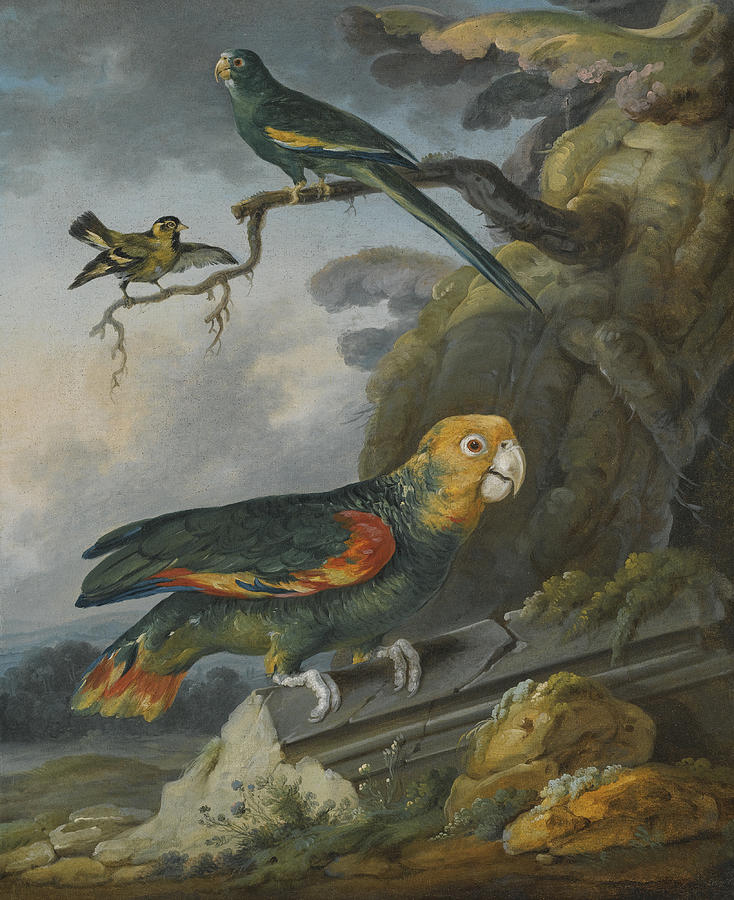 A Parrot a Perroquet and a Gold Finch at the Base of a Tree Painting by Attributed to Christophe Huet