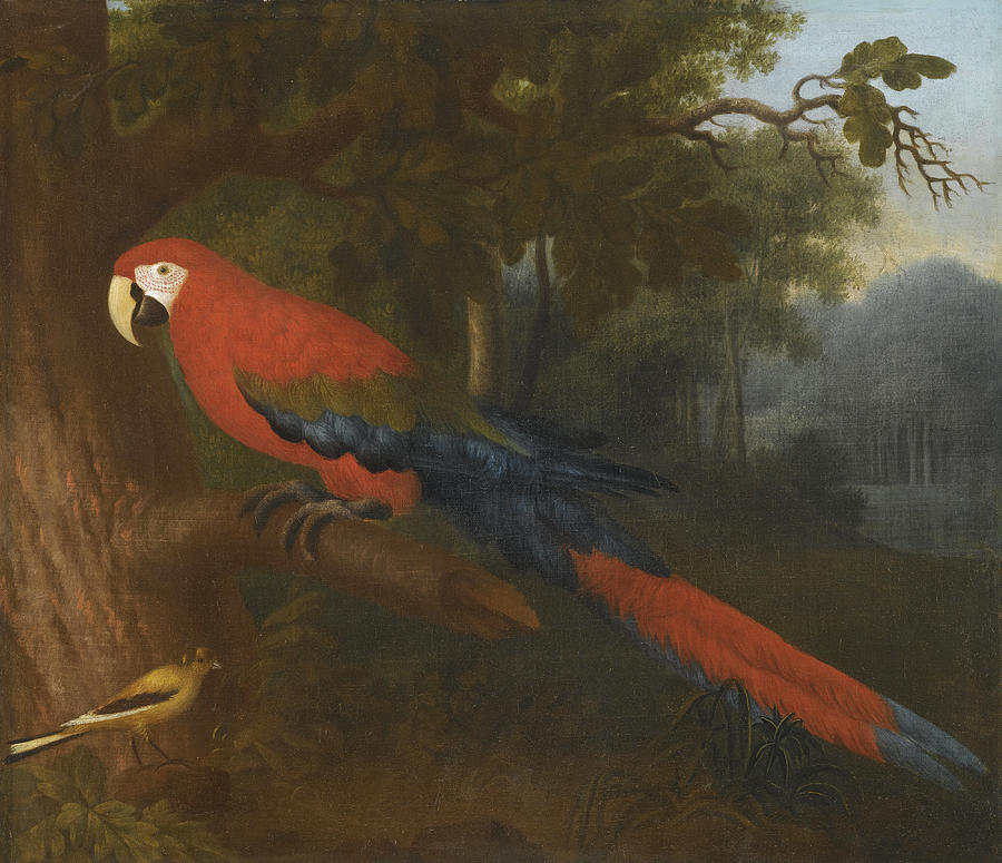 A Parrot and a Yellow Wagtail on a Branch Painting by Circle of Jakob Bogdani