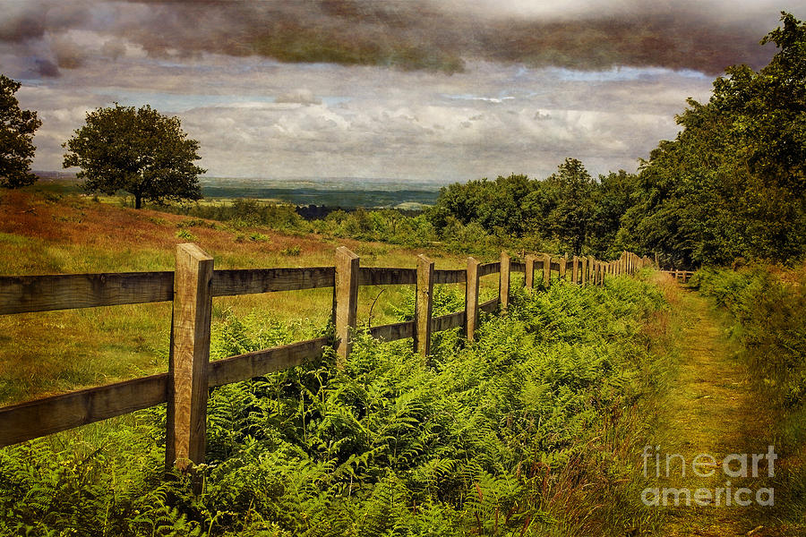 Landmark Photograph - A Path From  A Hill by Linsey Williams