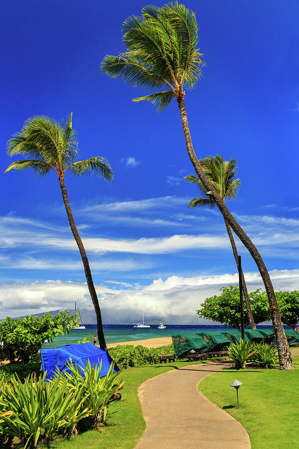 Boat Photograph - A Path In Kaanapali by James Eddy