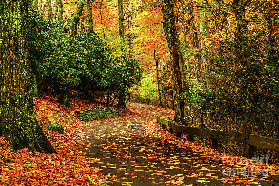Fall Photograph - A Path through Autumn by Darren Fisher