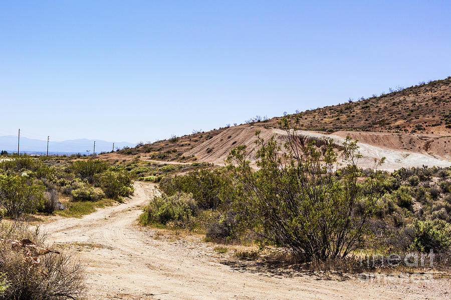 A Path through the Desert Photograph by Joe Lach