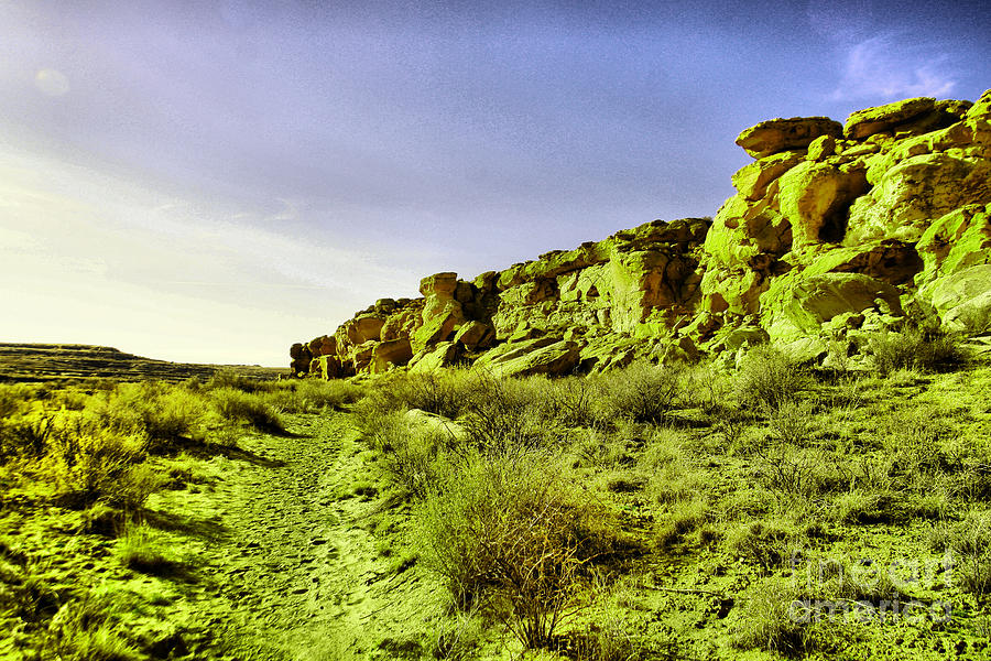 A path to petroglyths Photograph by Jeff Swan